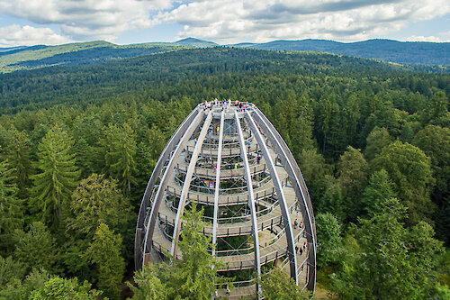 Baumwipfelpfad Bayerischer Wald